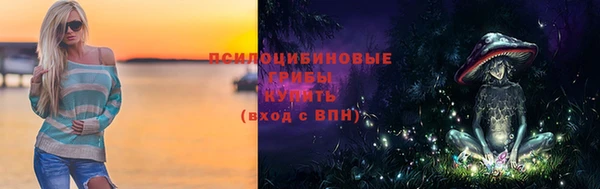 дурь Кулебаки