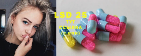 PSILOCYBIN Кукмор