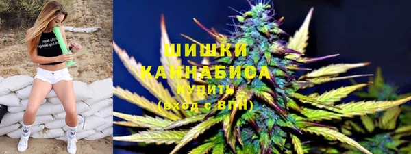 метадон Калининец
