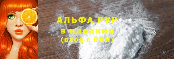 PSILOCYBIN Кукмор